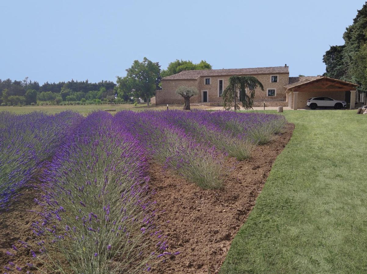 Mas Des Fugueyrolles Bed & Breakfast Cavaillon Exterior photo