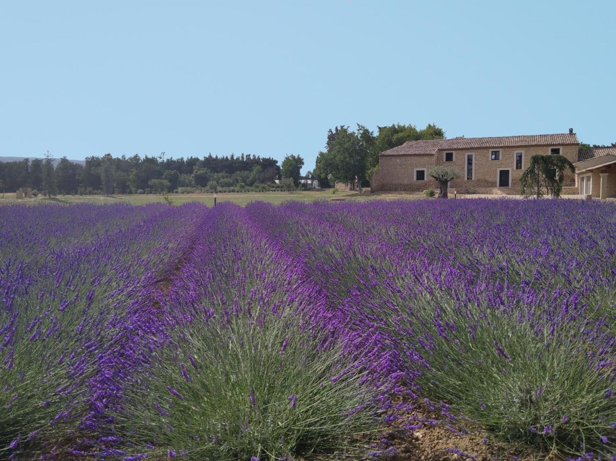 Mas Des Fugueyrolles Bed & Breakfast Cavaillon Exterior photo